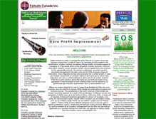 Tablet Screenshot of failsafecanada.com